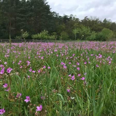 Am Dachsberg 別荘 バート・ザーロー